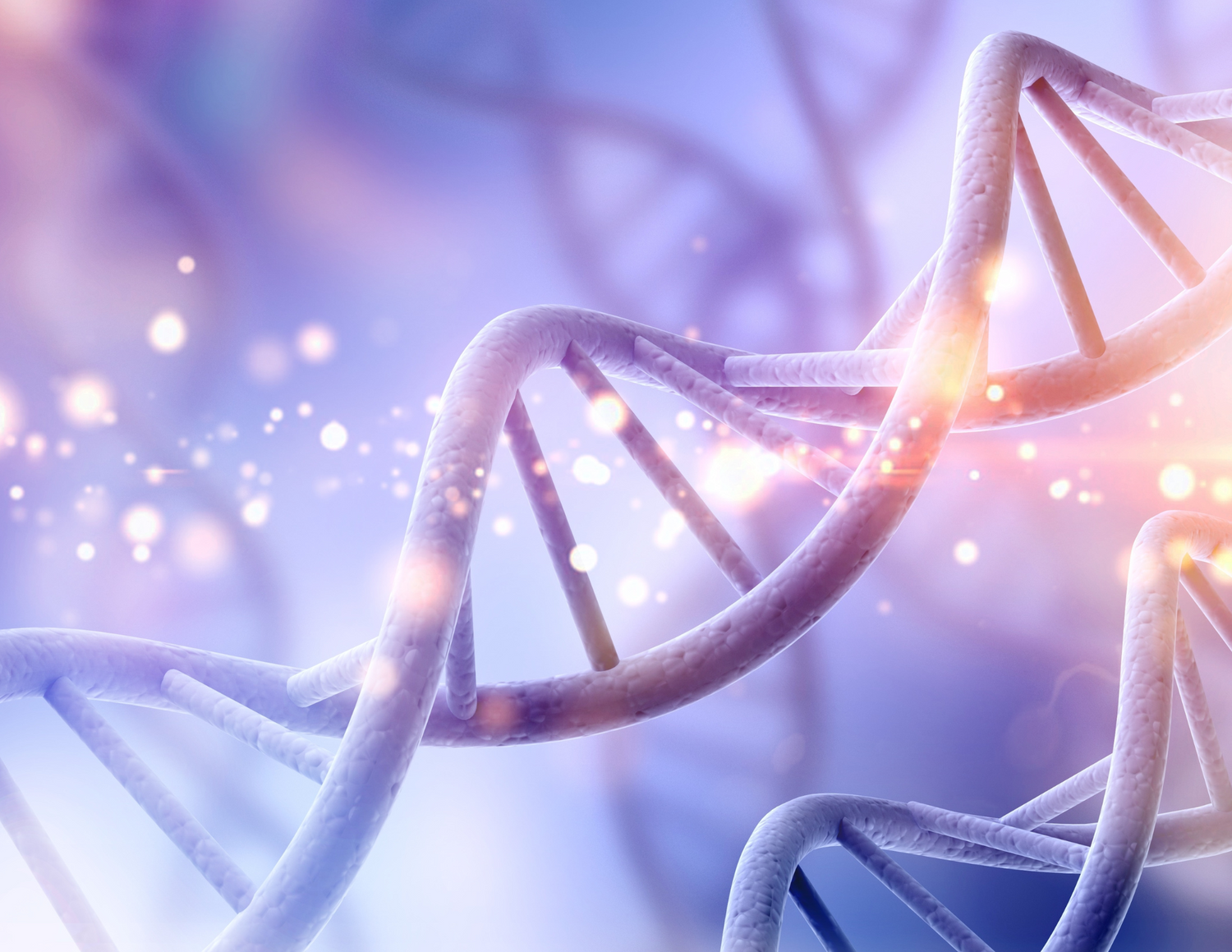 Genetic Genealogy Services
