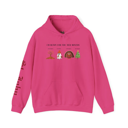 I'M READY FOR THE 'BER MONTHS Hoodie with St. John Heraldry