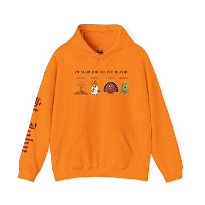 I'M READY FOR THE 'BER MONTHS Hoodie with St. John Heraldry