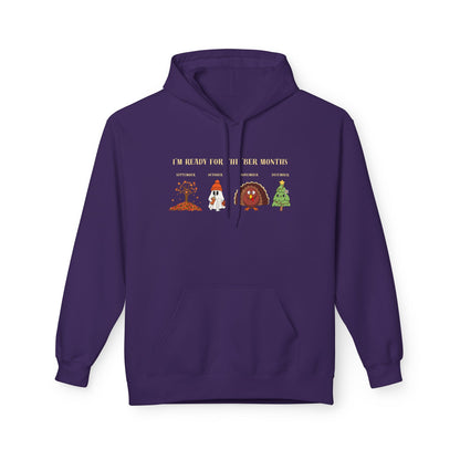 Cozy Holiday Hoodie - I'm Ready for the 'BER Months, Fleece Hoodie for Christmas, Fall, Halloween, Cozy Gift, Unisex Apparel